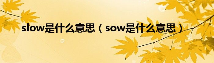 slow是什么意思（sow是什么意思）