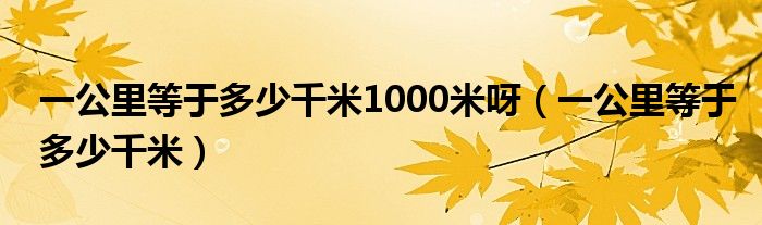 一公里等于多少千米1000米呀（一公里等于多少千米）