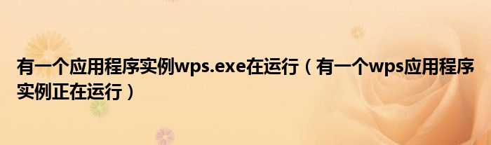 有一个应用程序实例wps.exe在运行（有一个wps应用程序实例正在运行）