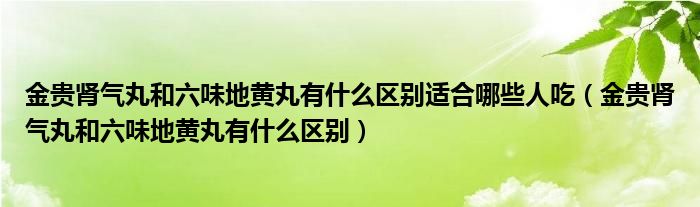 金贵肾气丸和六味地黄丸有什么区别适合哪些人吃（金贵肾气丸和六味地黄丸有什么区别）