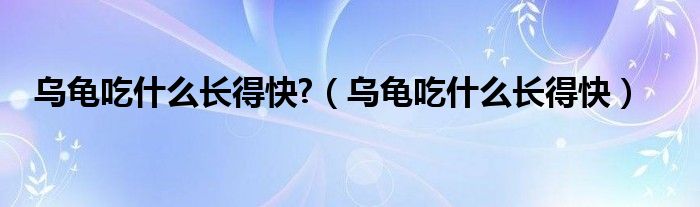 乌龟吃什么长得快?（乌龟吃什么长得快）