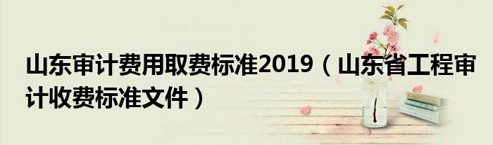 山东审计费用取费标准2019（山东省工程审计收费标准文件）