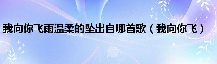 我向你飞雨温柔的坠出自哪首歌（我向你飞）