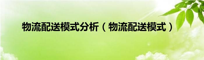 物流配送模式分析（物流配送模式）