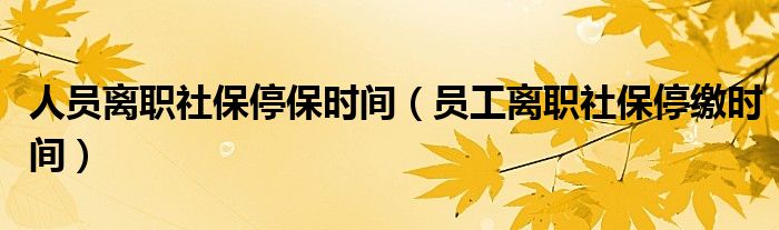 人员离职社保停保时间（员工离职社保停缴时间）