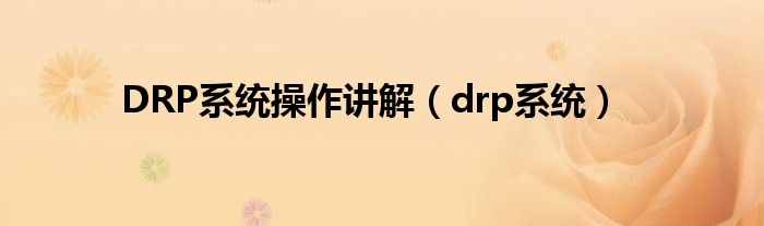 DRP系统操作讲解（drp系统）