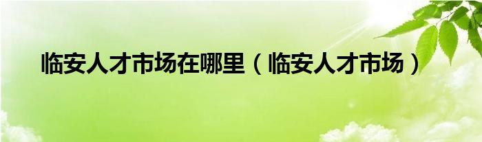 临安人才市场在哪里（临安人才市场）