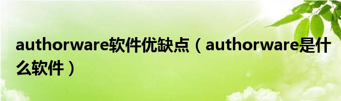 authorware软件优缺点（authorware是什么软件）