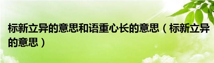 标新立异的意思和语重心长的意思（标新立异的意思）