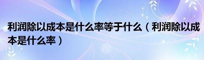 利润除以成本是什么率等于什么（利润除以成本是什么率）