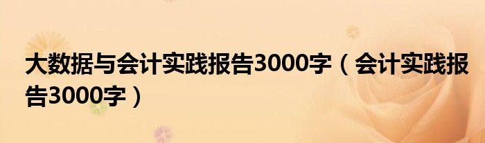 大数据与会计实践报告3000字（会计实践报告3000字）