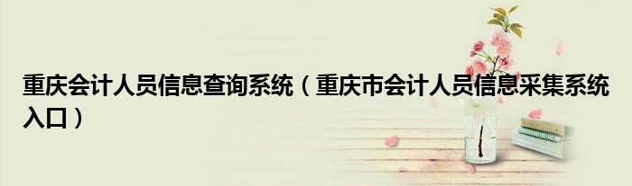 重庆会计人员信息查询系统（重庆市会计人员信息采集系统入口）