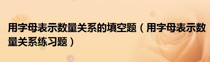 用字母表示数量关系的填空题（用字母表示数量关系练习题）