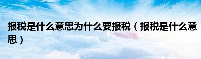 报税是什么意思为什么要报税（报税是什么意思）