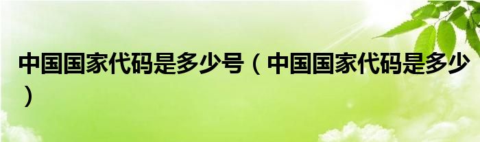 中国国家代码是多少号（中国国家代码是多少）