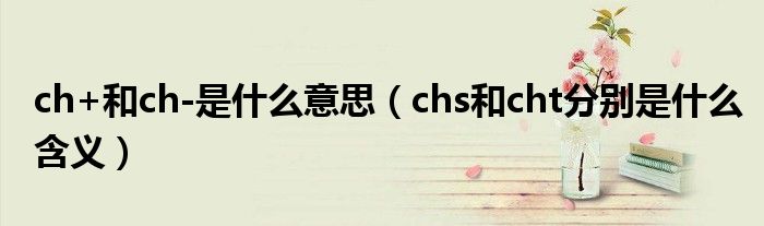 ch+和ch-是什么意思（chs和cht分别是什么含义）