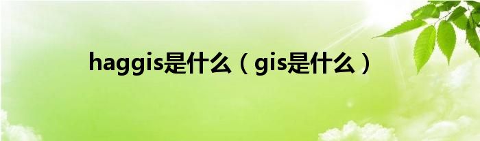 haggis是什么（gis是什么）