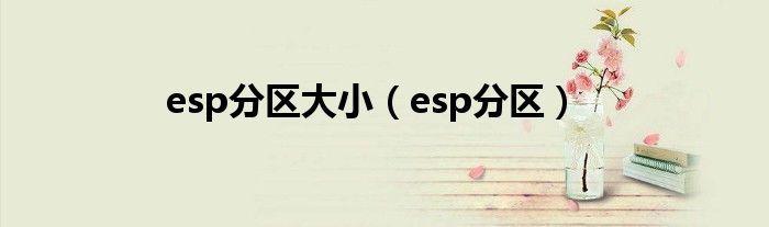 esp分区大小（esp分区）