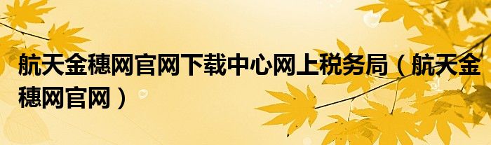 航天金穗网官网下载中心网上税务局（航天金穗网官网）