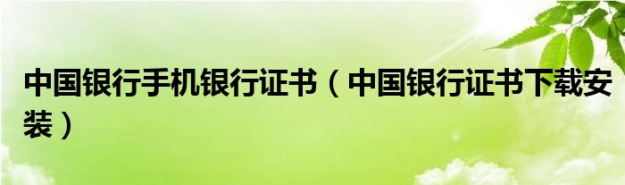 中国银行手机银行证书（中国银行证书下载安装）