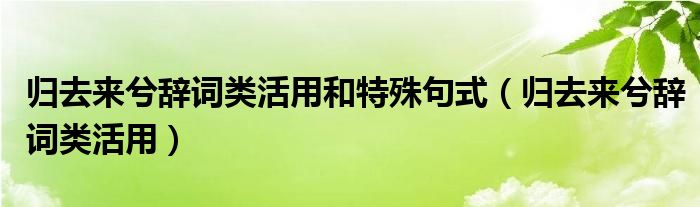 归去来兮辞词类活用和特殊句式（归去来兮辞词类活用）