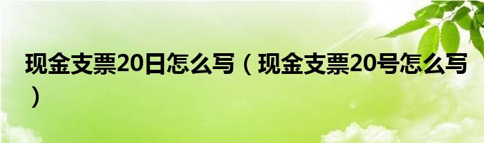 现金支票20日怎么写（现金支票20号怎么写）