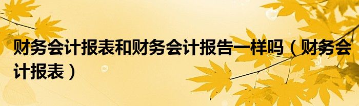 财务会计报表和财务会计报告一样吗（财务会计报表）