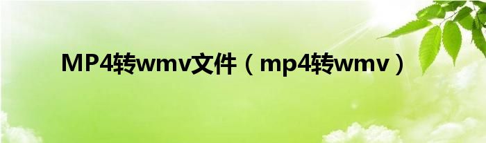 MP4转wmv文件（mp4转wmv）