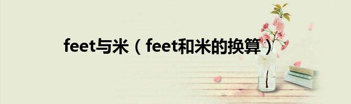 feet与米（feet和米的换算）