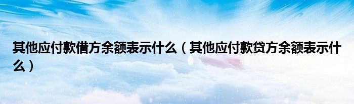 其他应付款借方余额表示什么（其他应付款贷方余额表示什么）