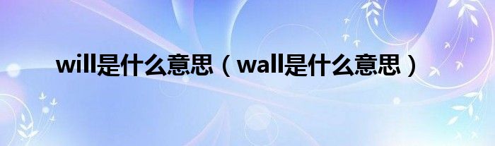 will是什么意思（wall是什么意思）