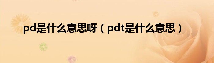 pd是什么意思呀（pdt是什么意思）