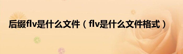 后缀flv是什么文件（flv是什么文件格式）