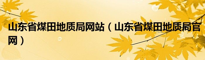 山东省煤田地质局网站（山东省煤田地质局官网）