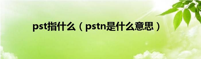 pst指什么（pstn是什么意思）