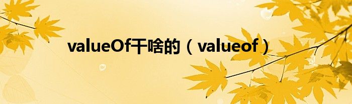 valueOf干啥的（valueof）