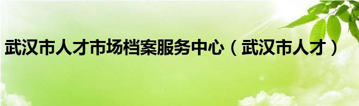 武汉市人才市场档案服务中心（武汉市人才）