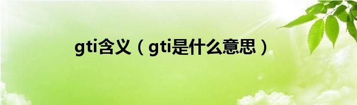 gti含义（gti是什么意思）