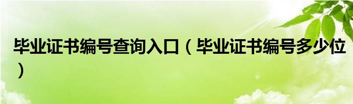 毕业证书编号查询入口（毕业证书编号多少位）