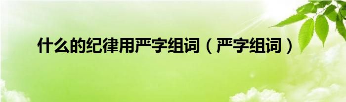 什么的纪律用严字组词（严字组词）