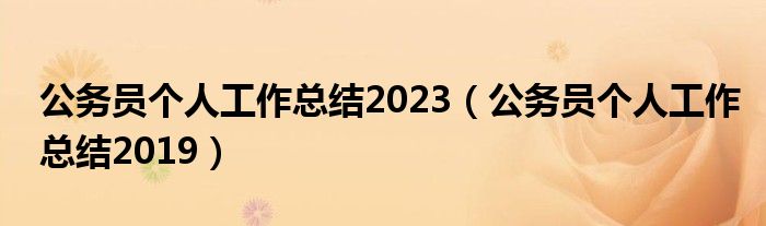 公务员个人工作总结2023（公务员个人工作总结2019）