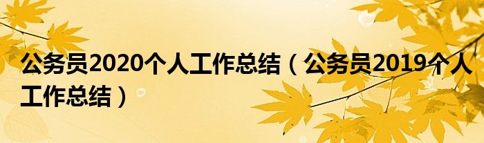 公务员2020个人工作总结（公务员2019个人工作总结）