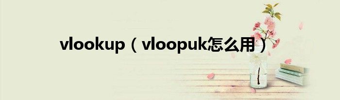 vlookup（vloopuk怎么用）