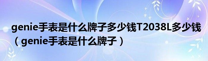 genie手表是什么牌子多少钱T2038L多少钱（genie手表是什么牌子）