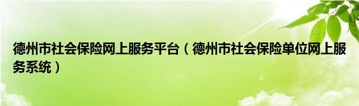 德州市社会保险网上服务平台（德州市社会保险单位网上服务系统）