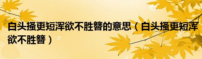 白头搔更短浑欲不胜簪的意思（白头搔更短浑欲不胜簪）