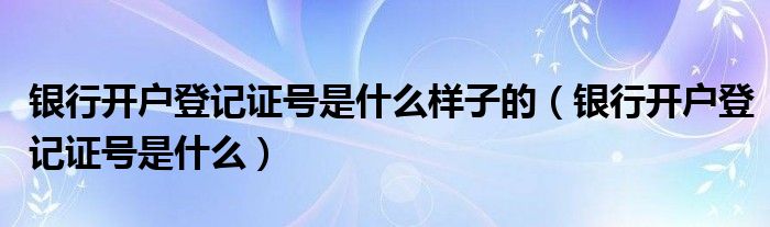 银行开户登记证号是什么样子的（银行开户登记证号是什么）