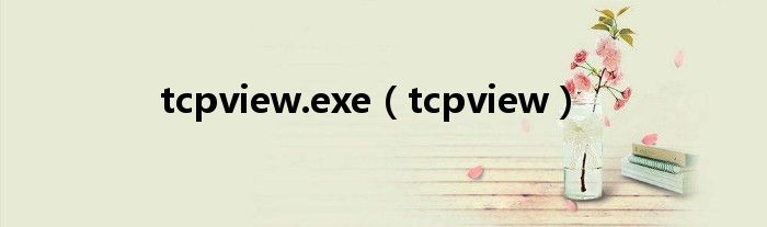 tcpview.exe（tcpview）