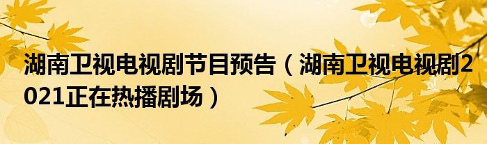 湖南卫视电视剧节目预告（湖南卫视电视剧2021正在热播剧场）