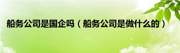 船务公司是国企吗（船务公司是做什么的）